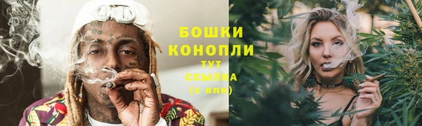 соль ск Коряжма