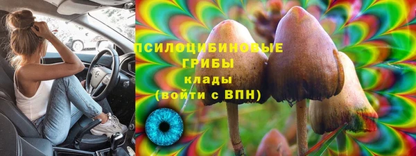дживик Куйбышев